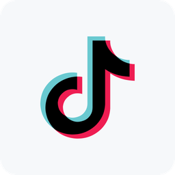 TikTok Embedder