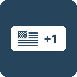 Essential Phone Number Input