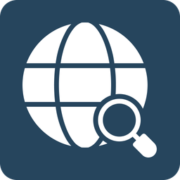 Web Search