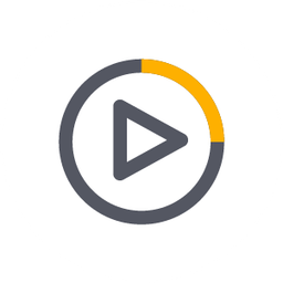 Video guides