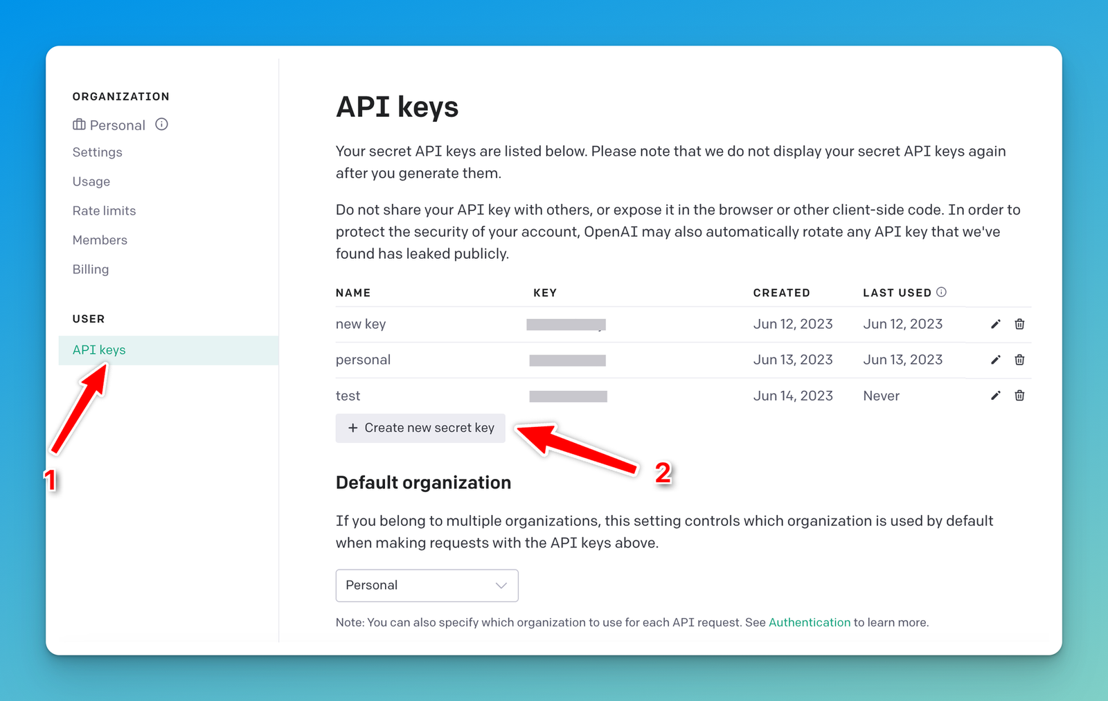 Get the OpenAI API key