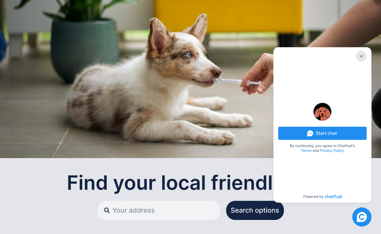 Image without caption