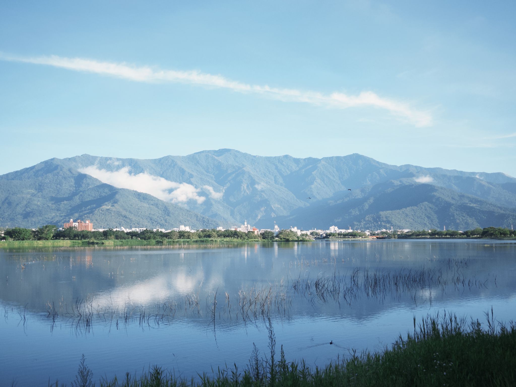 Image without caption