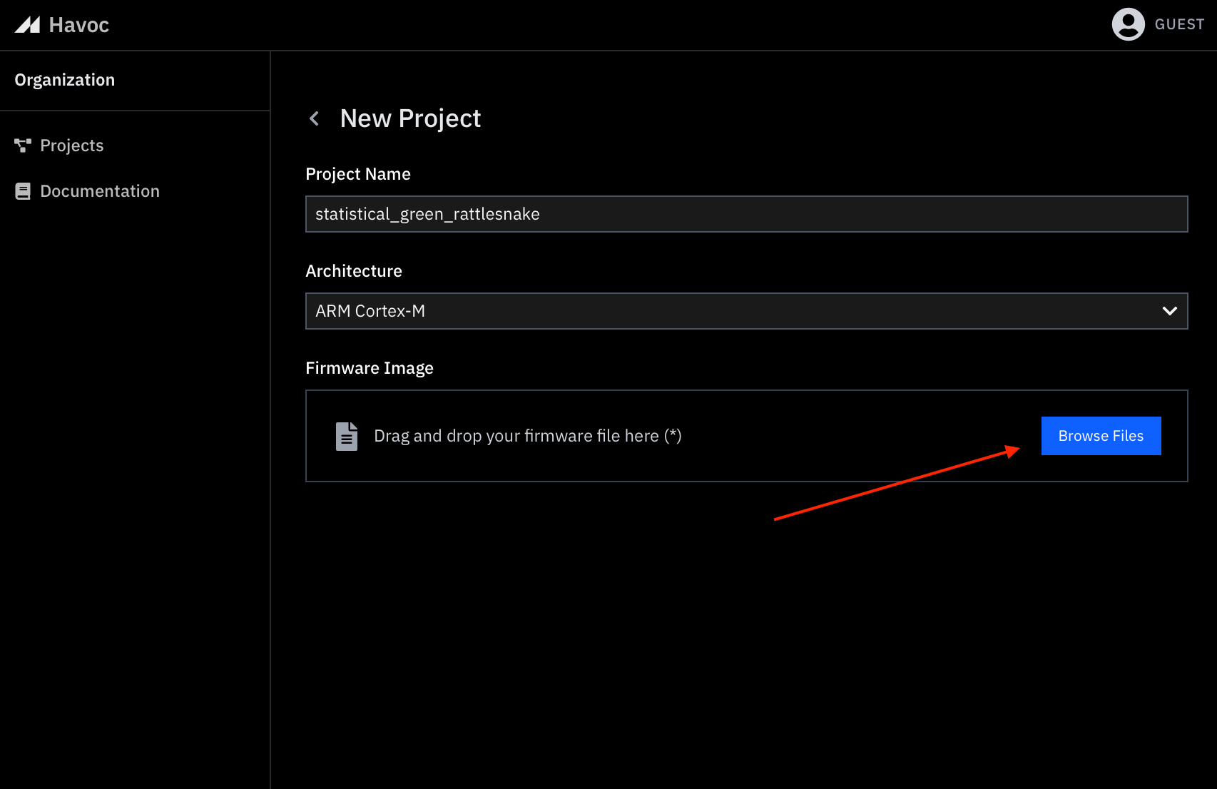 Image without caption