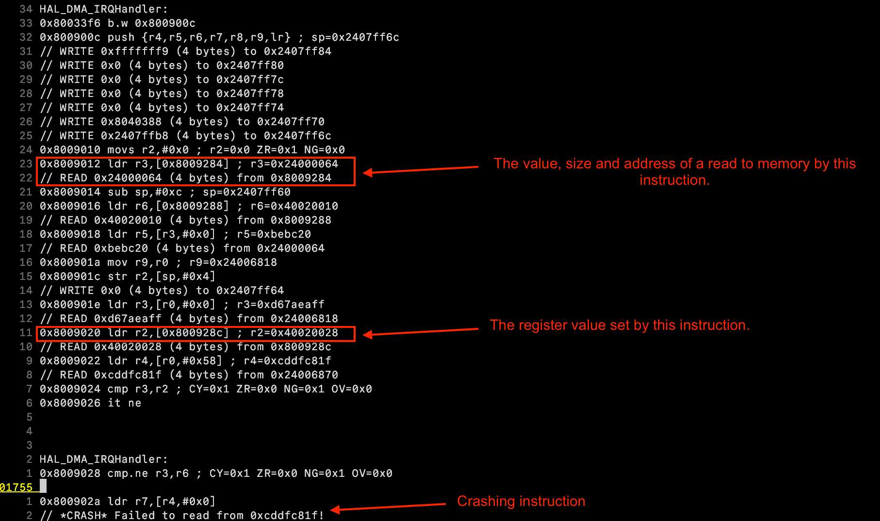 Image without caption