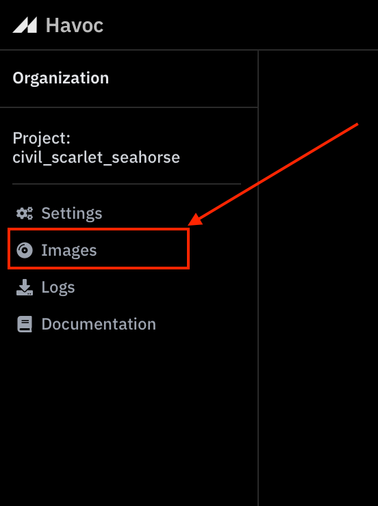 Image without caption