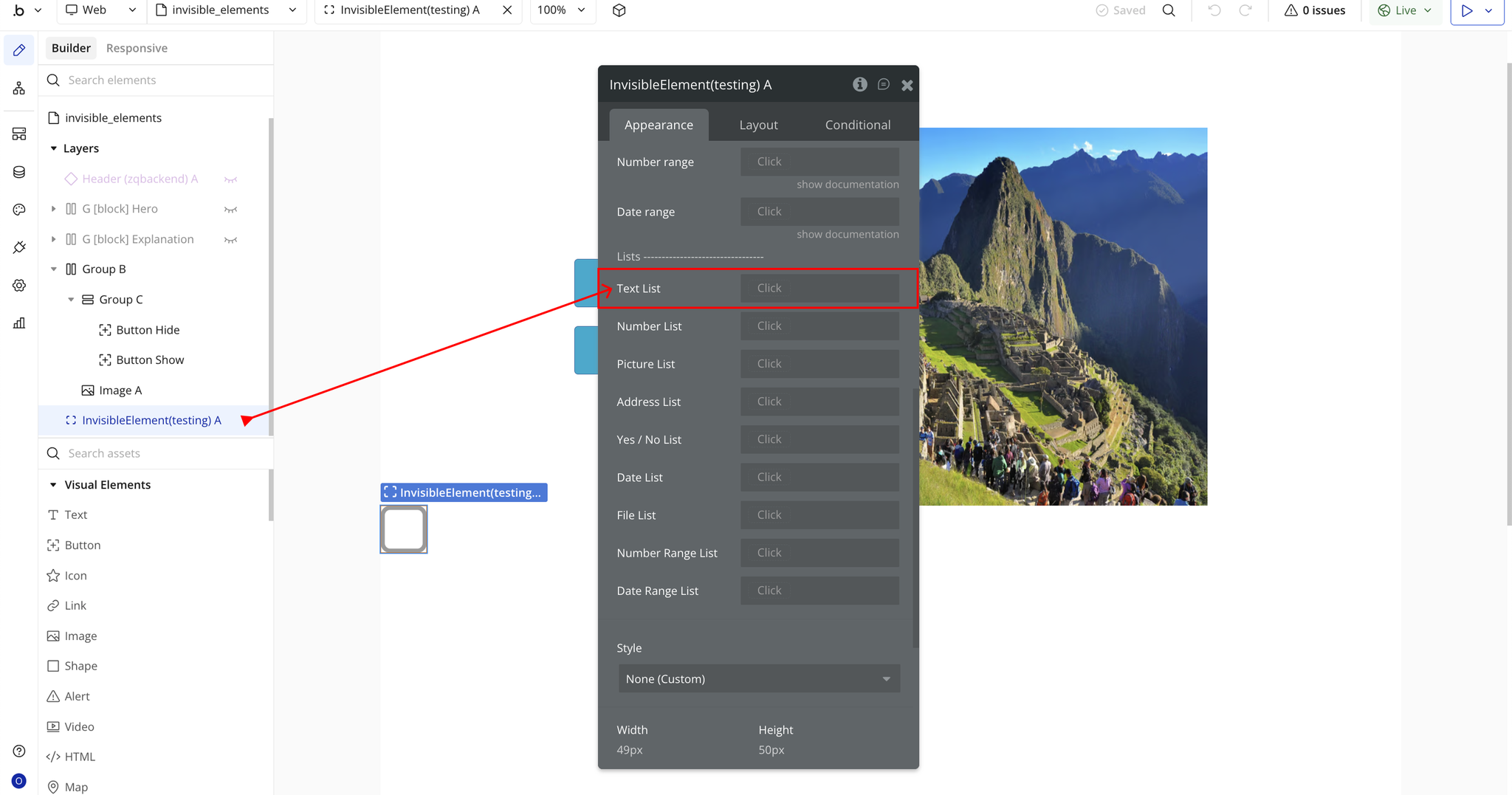 Image without caption