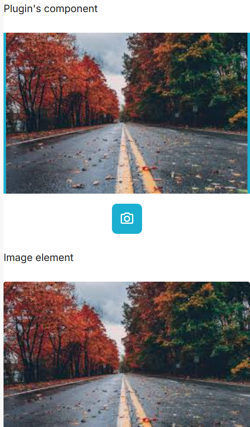 Image without caption