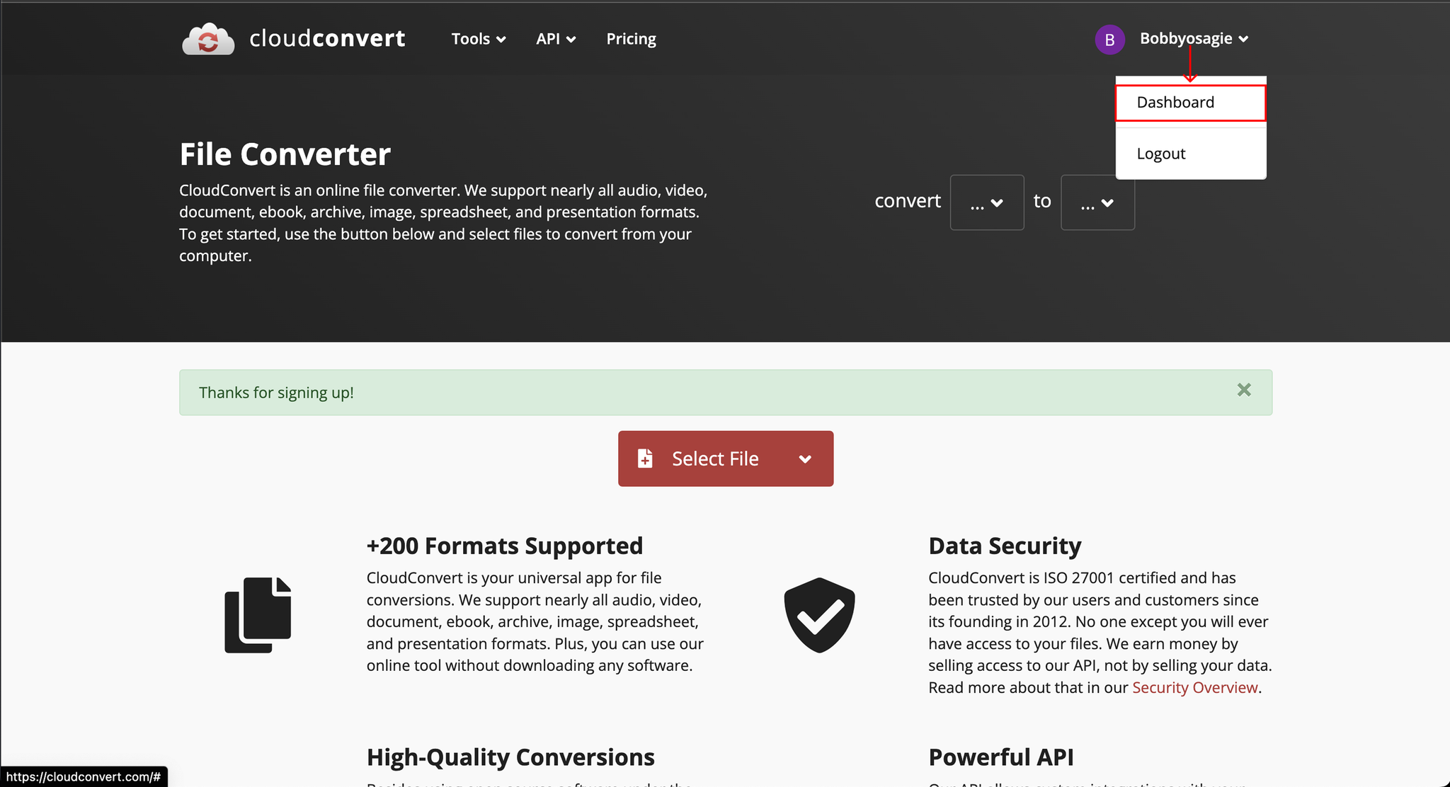 Image without caption