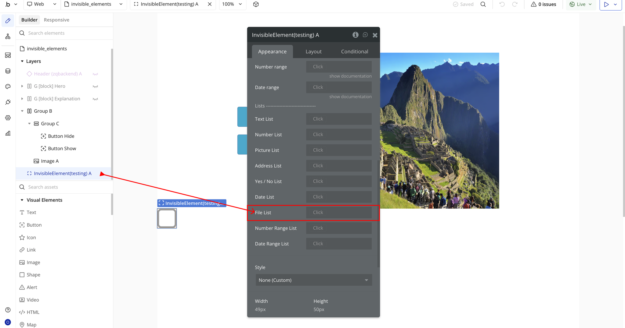 Image without caption