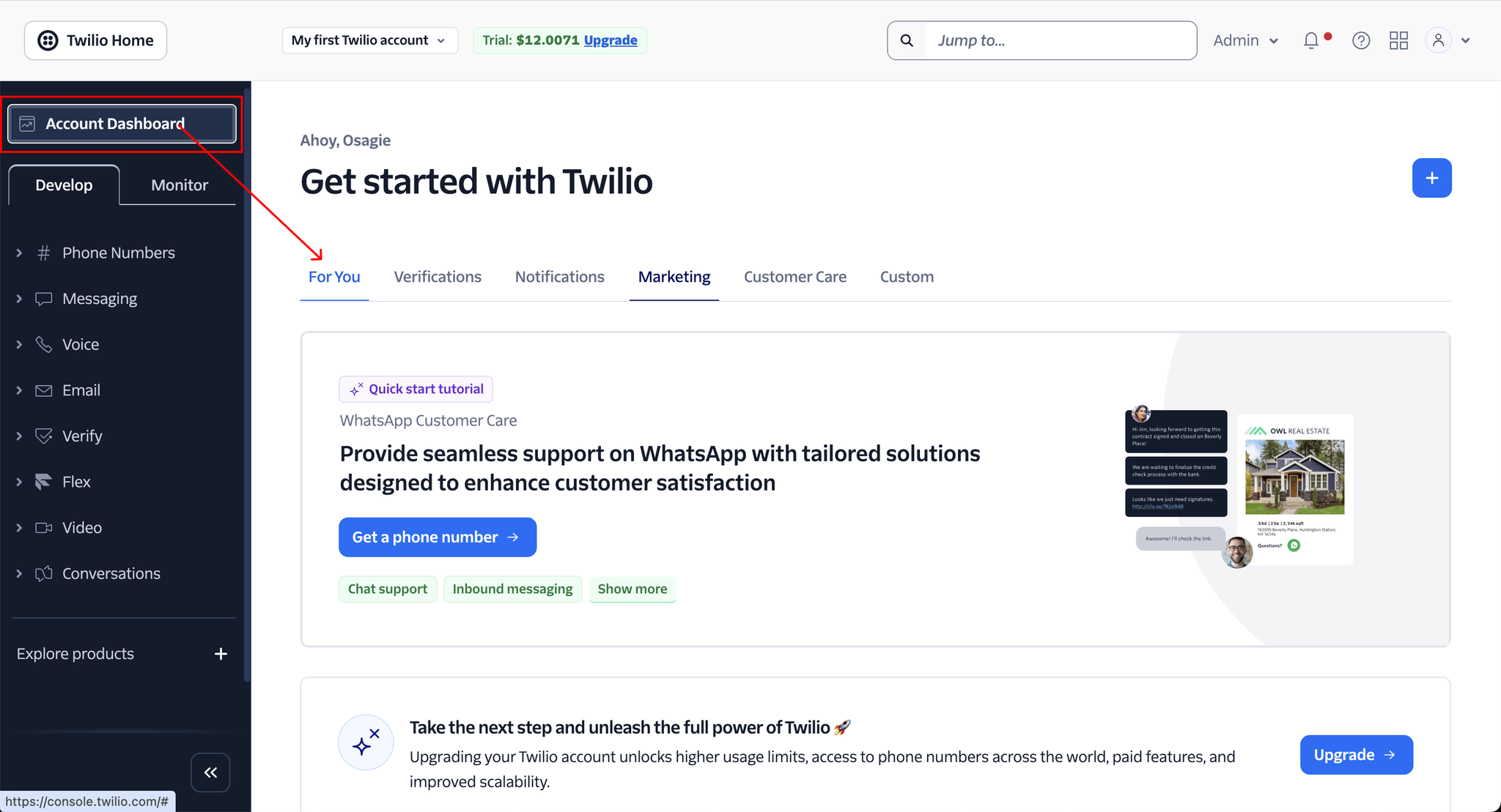 Image without caption