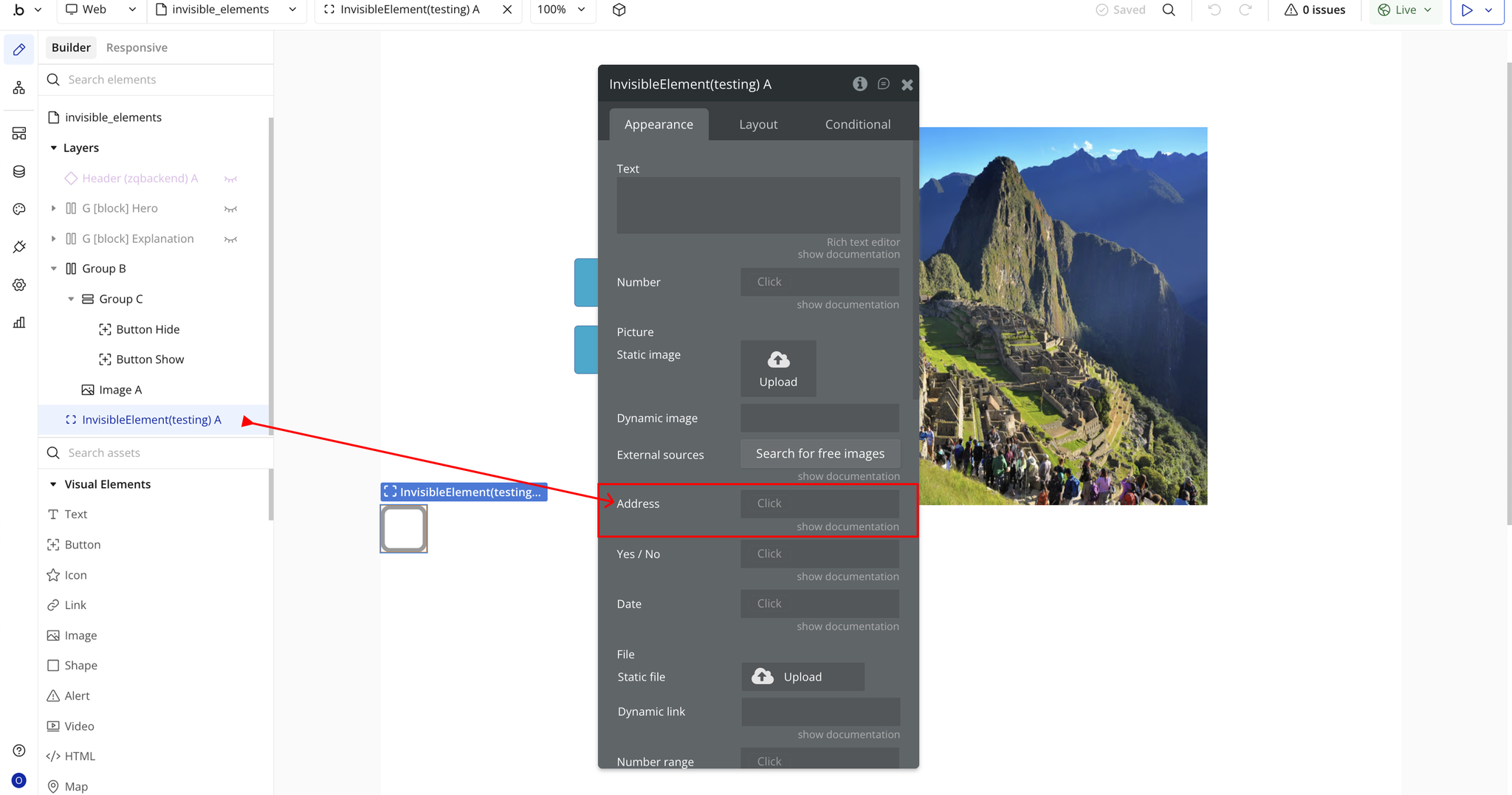 Image without caption
