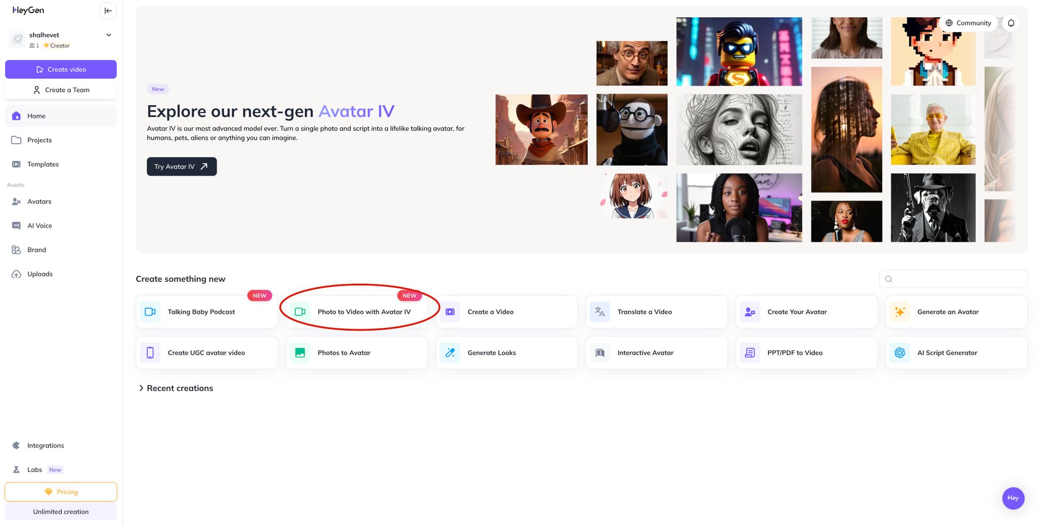 Image without caption