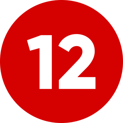 Icon 12
