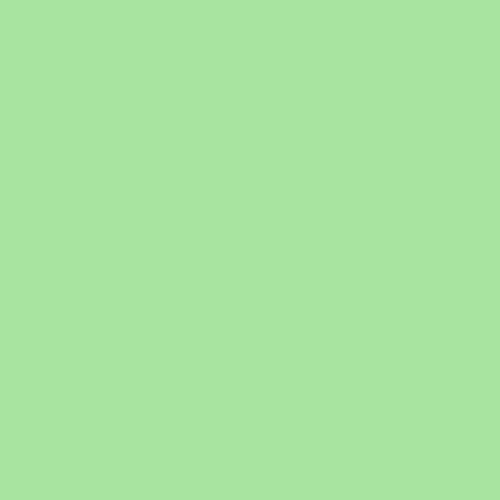 Granny Smith Apple