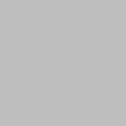Gray (X11 Gray)