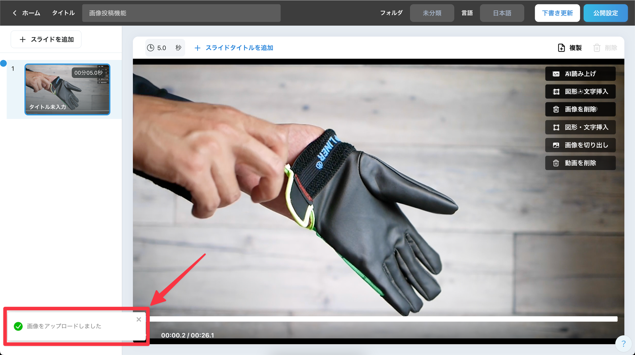 Image without caption