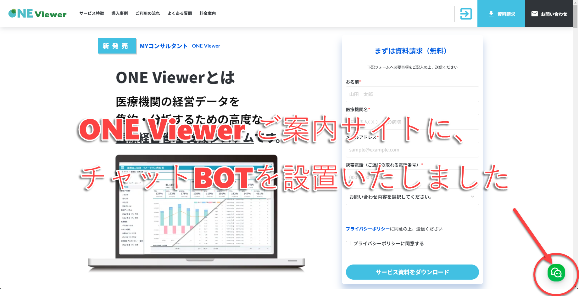 Image without caption