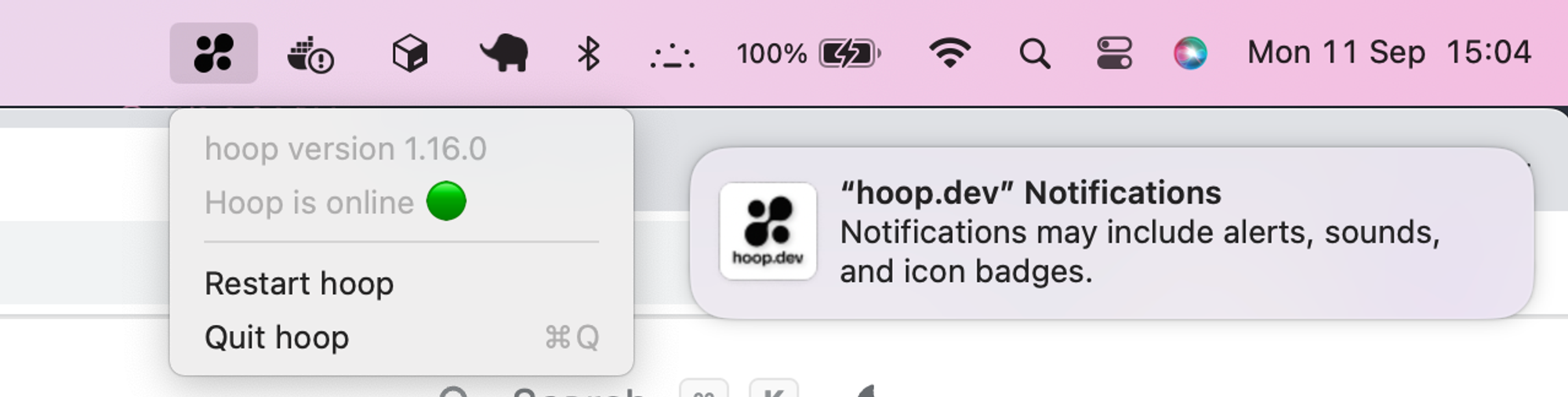 hoop desktop app