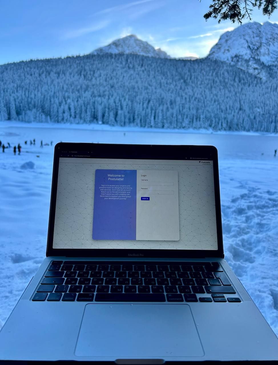 Image without caption