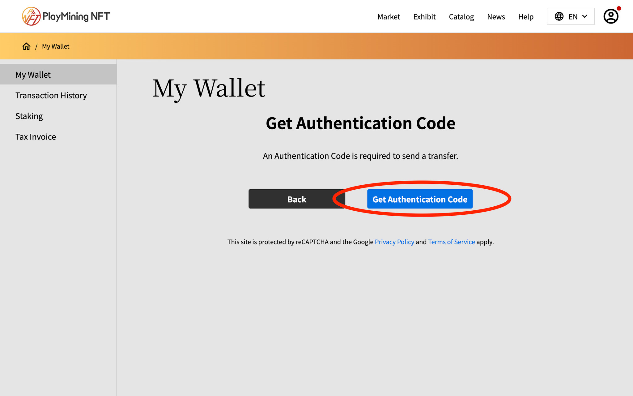 Image without caption