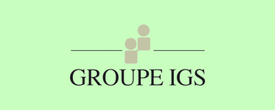 Groupe IGS 