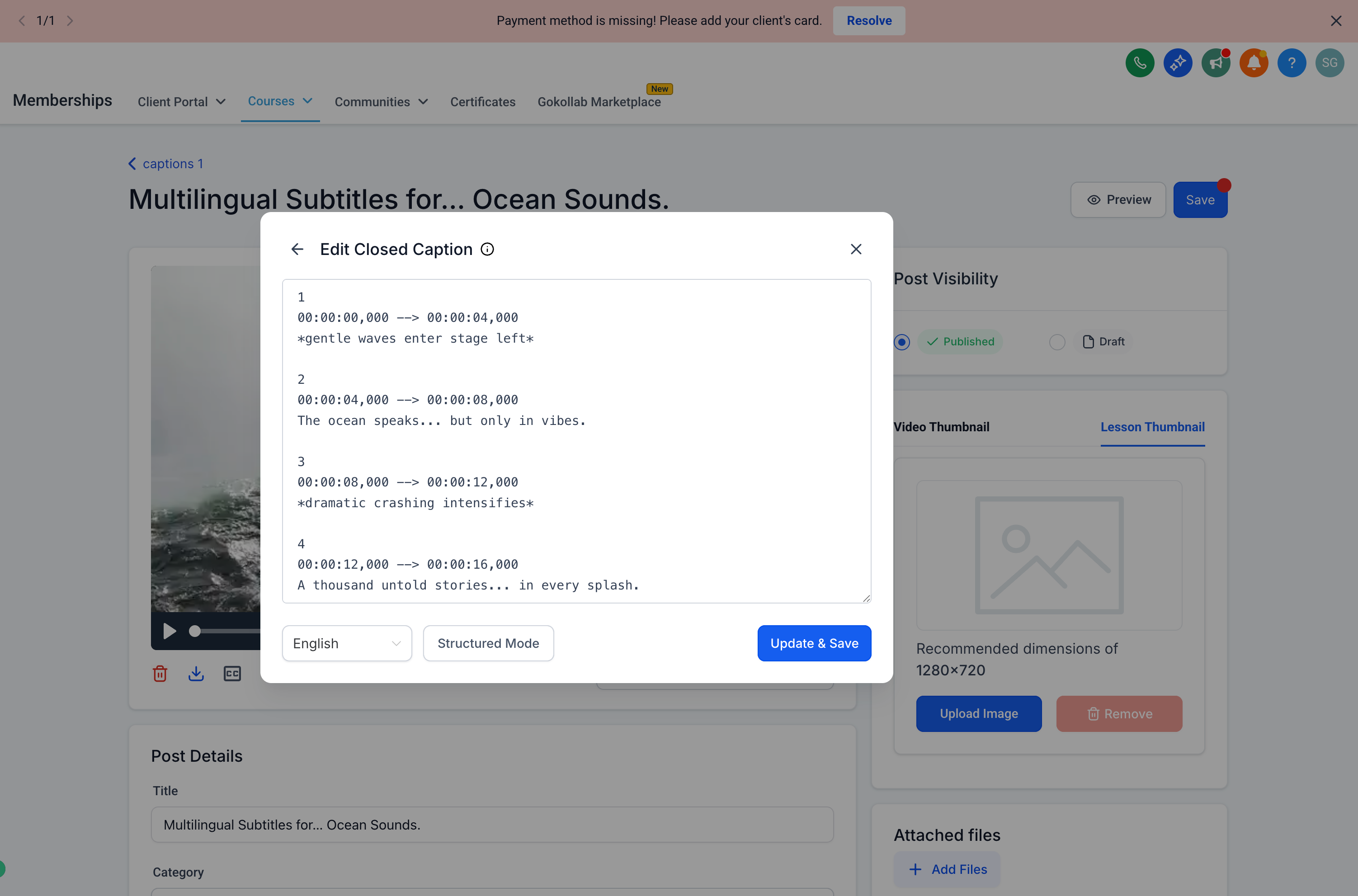 Image without caption