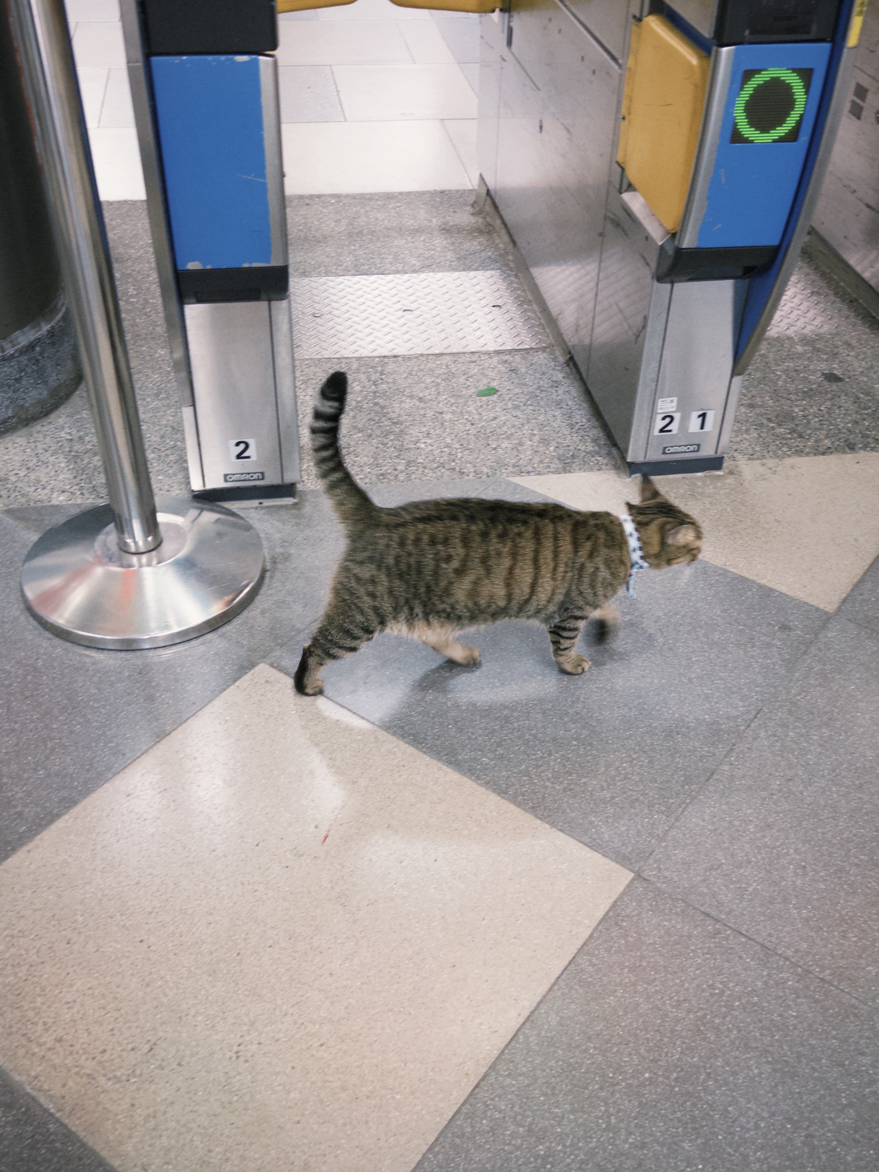 Image without caption