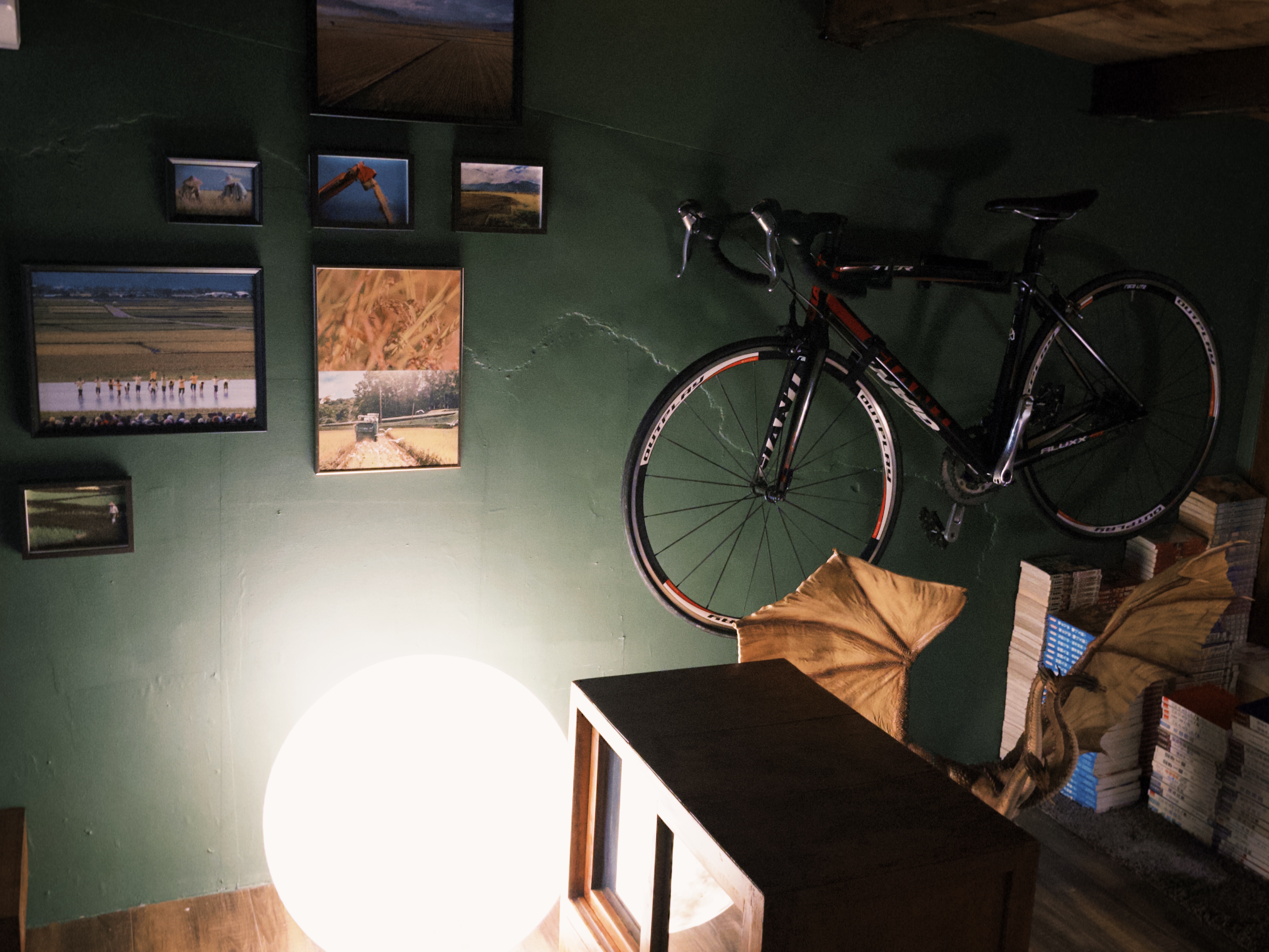 Image without caption