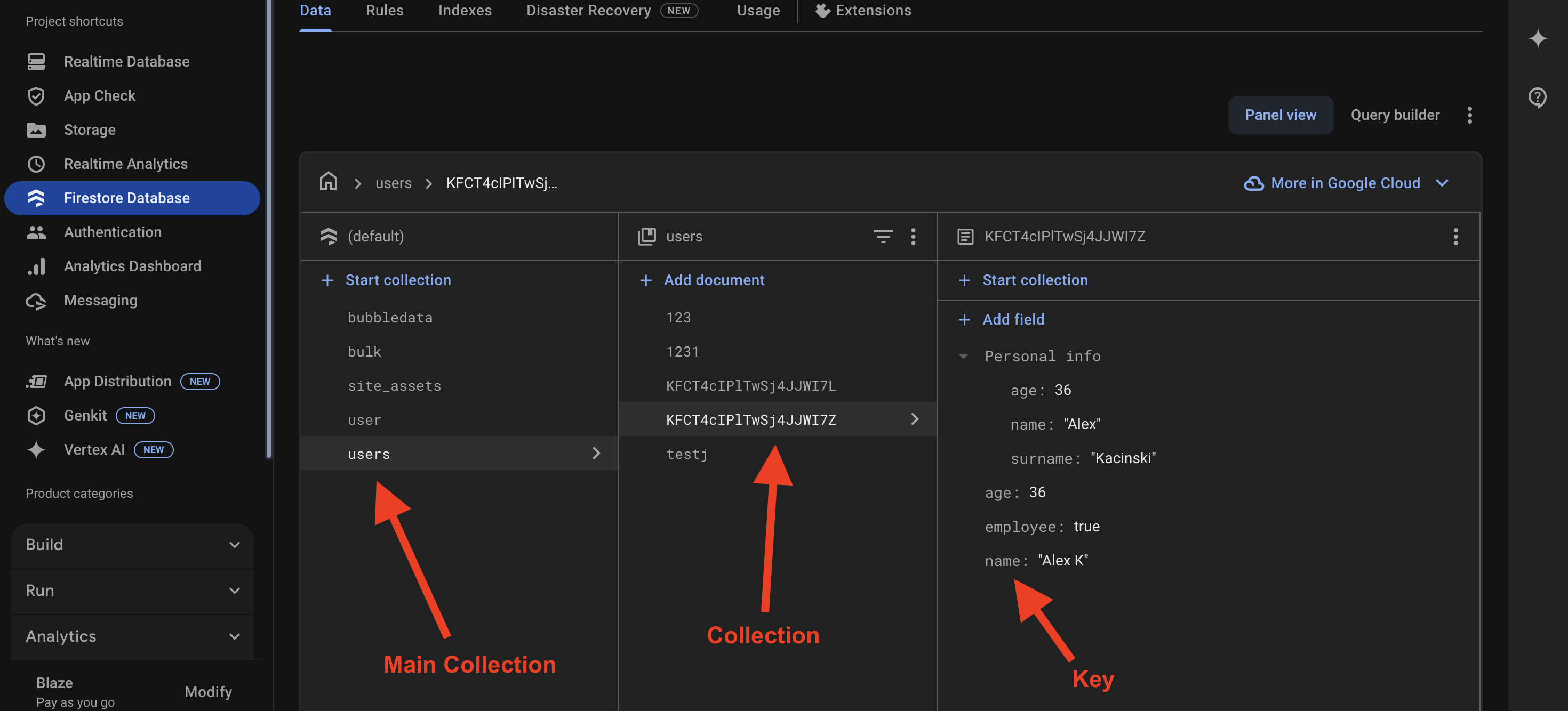 Firestore Database Collection