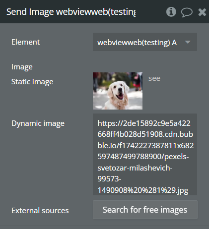 Image without caption