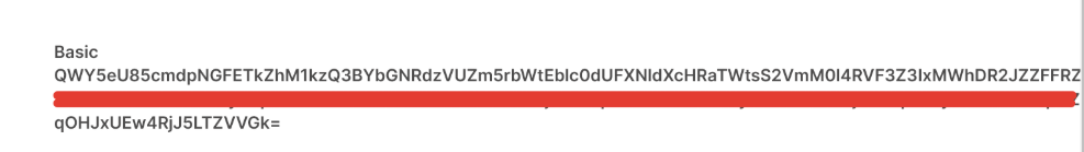 API key.