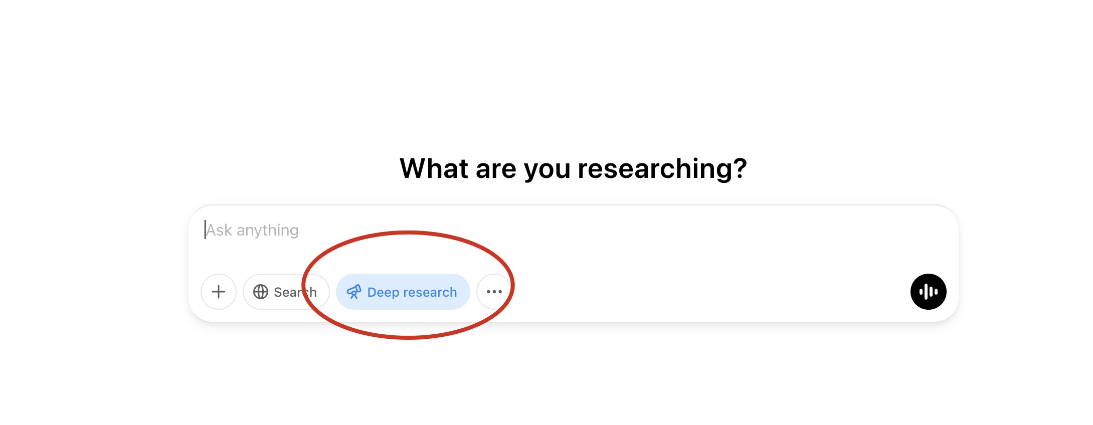 Image without caption