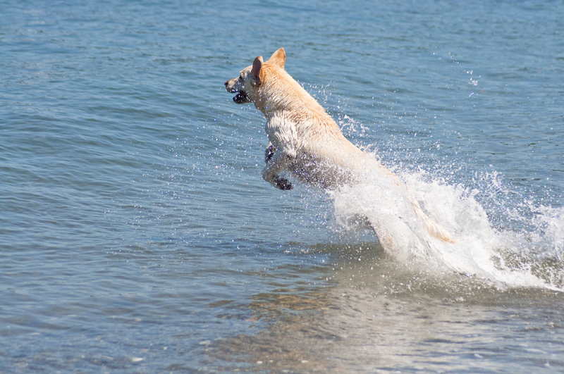 Image without caption